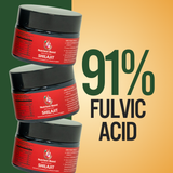 Organic Shilajit Resin – The OG (Pure Himalayan Source)