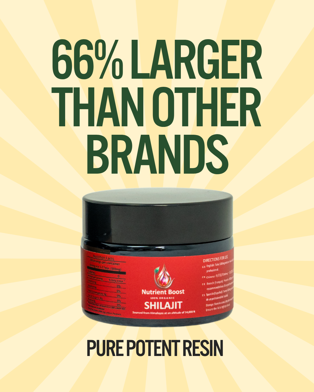 Organic Shilajit Resin – The OG (Pure Himalayan Source)