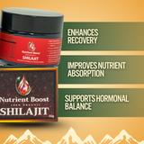 Organic Shilajit Resin – The OG (Pure Himalayan Source)